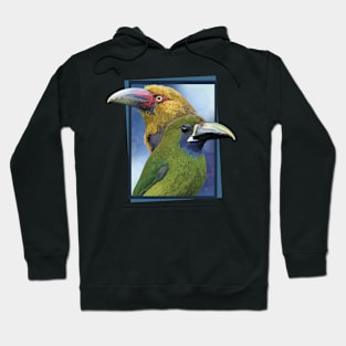 toucans Hoodie